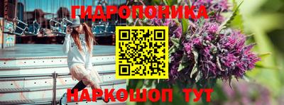 бошки Краснознаменск