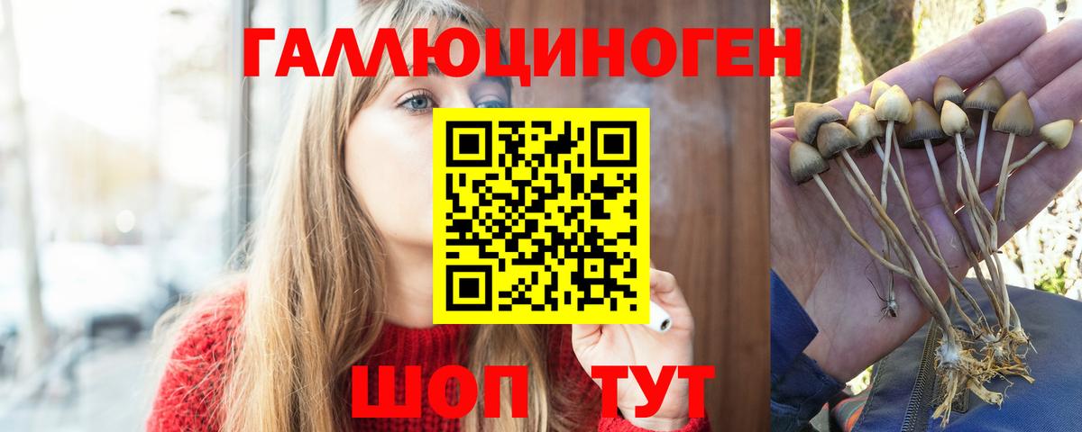 Галлюциногенные грибы MAGIC MUSHROOMS Томск